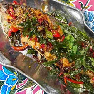 Siames Fish